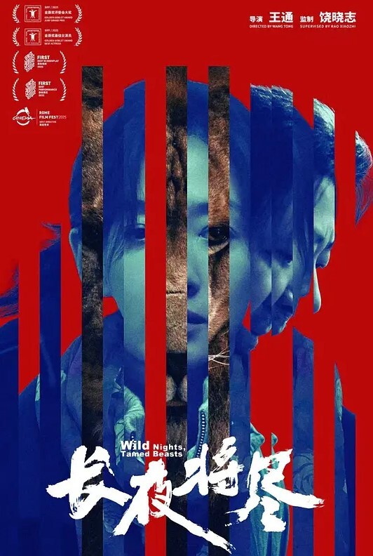 最终幻想猩红幻想云的呻吟版 - 银色导航